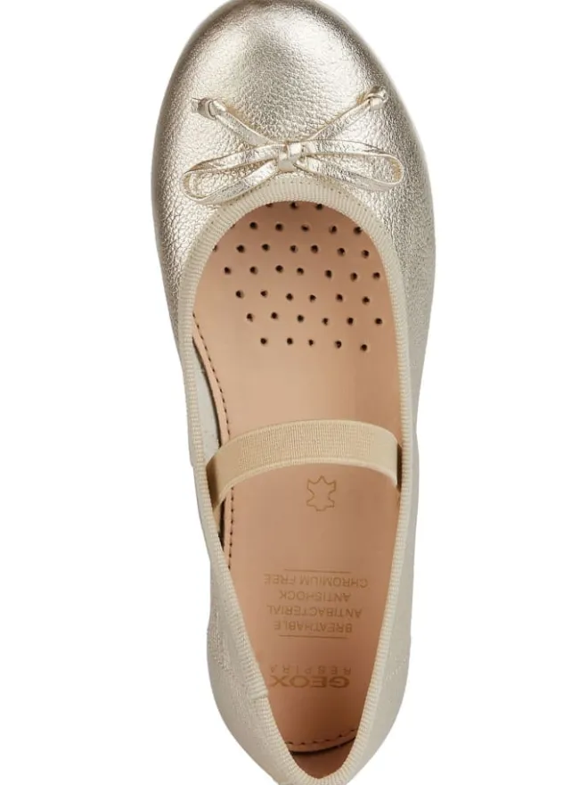 Ballerinas in Platinum>Geox Clearance