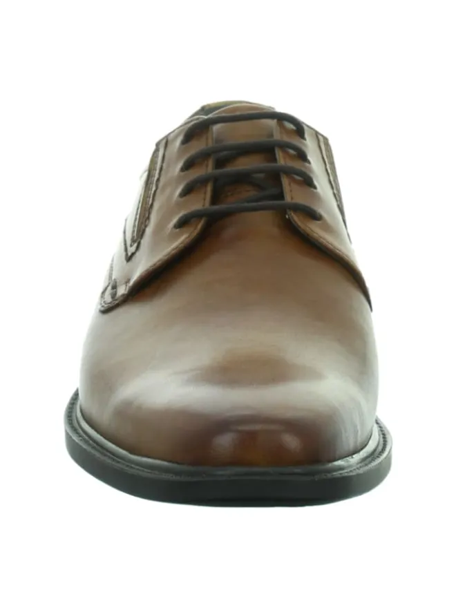 Business Schnürschuhe in Braun>Longo Clearance