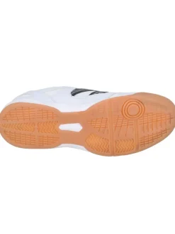 Hallenschuh 