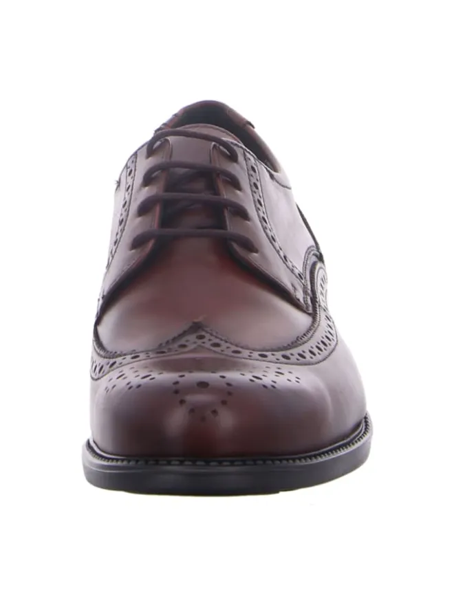 Klassische Schnürschuhe in Braun>LLOYD Online