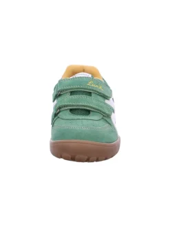 Klettschuh Jamin BF in Grün><noscript><img width=