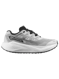 SALOMON Outdoor- & Sportschuhe^Laufschuhe "Aero Blaze 3 GRVL" in Grau