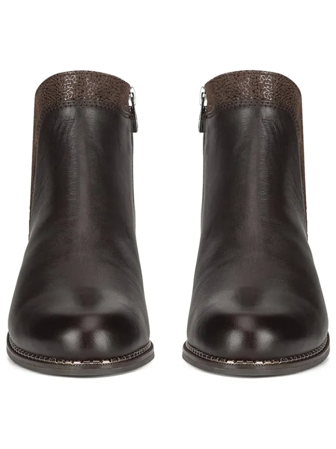 Leder-Ankle-Boots in Braun>Lasocki