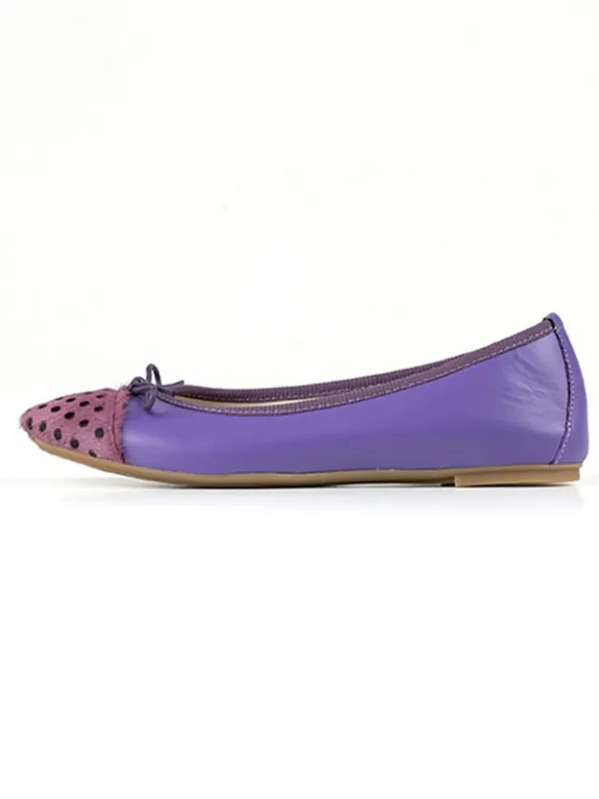 Leder-Ballerinas "Fabella" in Lila>Anna Morellini Outlet