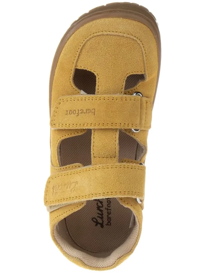 Leder-Barfußschuhe "Nando-S" in Senf>Lurchi Online