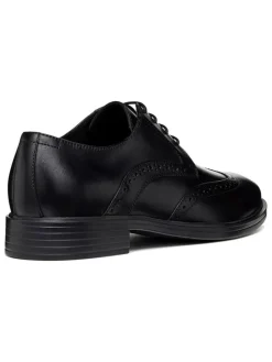 Geox Schnürschuhe^Leder-Schnürschuhe