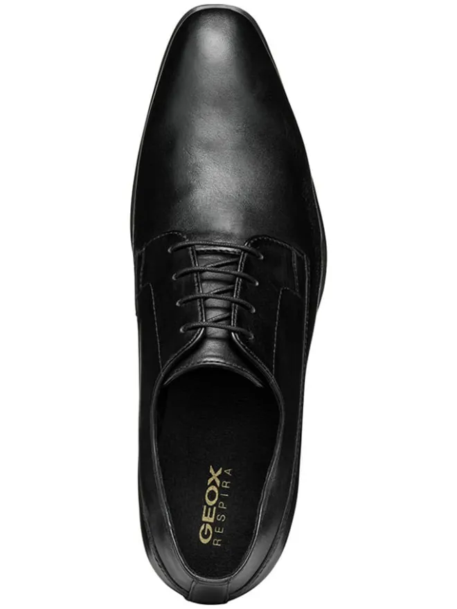 Geox Schnürschuhe^Leder-Schnürschuhe "High Life" in Schwarz