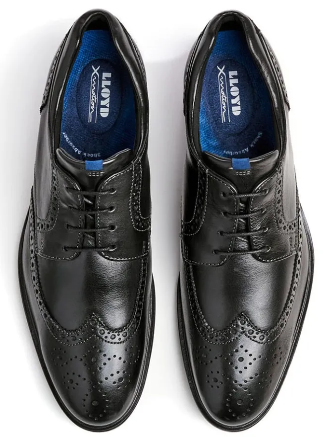 Leder-Schnürschuhe "Marian" in Schwarz>LLOYD Hot