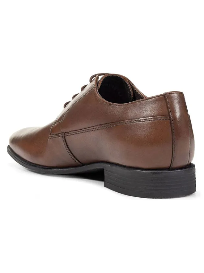 Leder-Schnürschuhe "Uomo High Life" in Braun>Geox Outlet