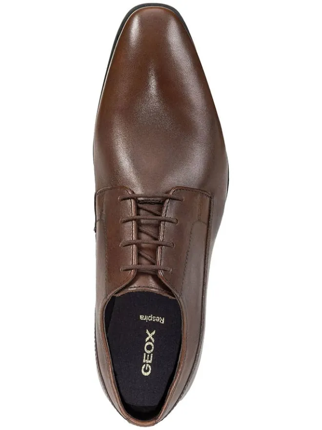 Leder-Schnürschuhe "Uomo High Life" in Braun>Geox Outlet