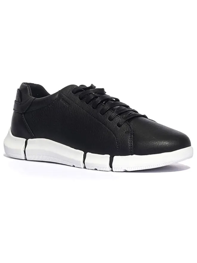 Geox Sneakers^Leder-Sneakers "Adacter" in Schwarz