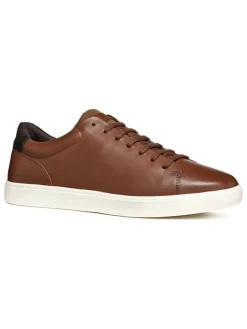 Leder-Sneakers "Avola" in Braun>Geox Discount