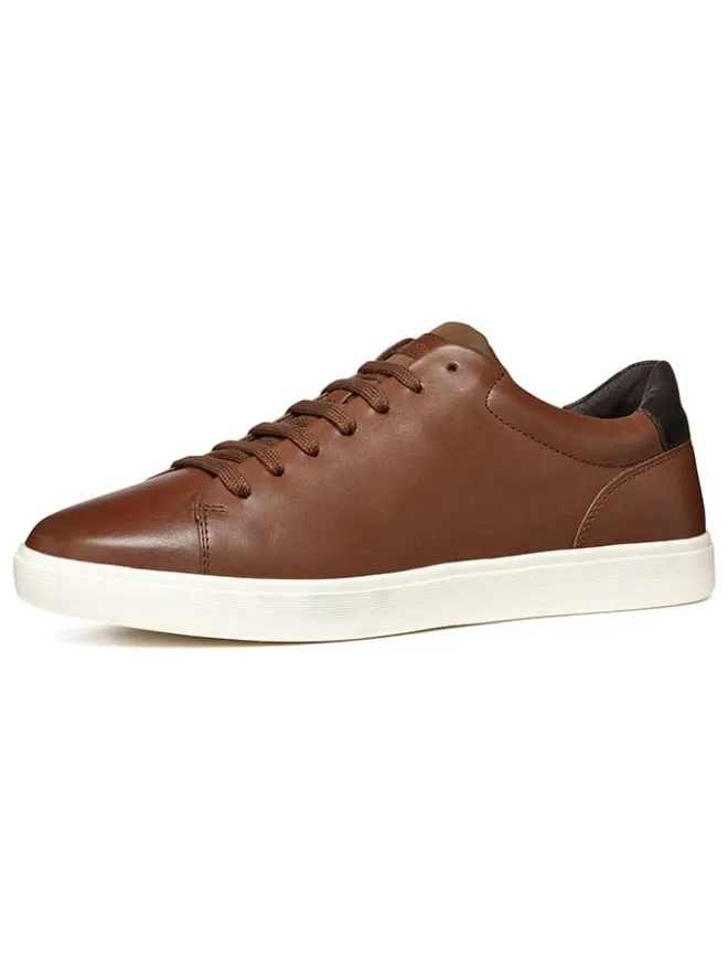 Leder-Sneakers "Avola" in Braun>Geox Discount