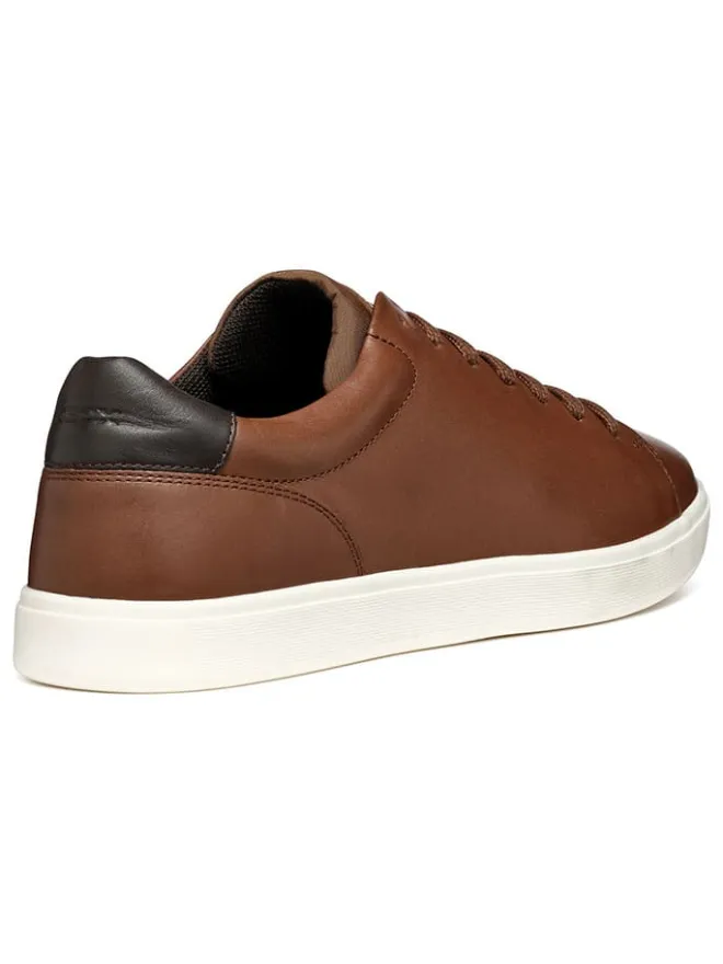 Leder-Sneakers "Avola" in Braun>Geox Discount