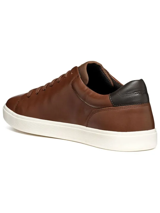 Leder-Sneakers "Avola" in Braun>Geox Discount