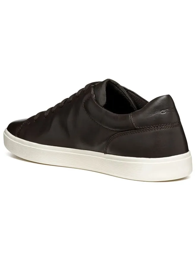 Geox Sneakers^Leder-Sneakers "Avola" in Schwarz