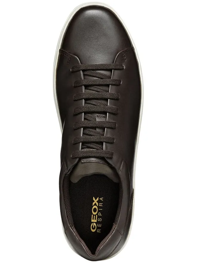Geox Sneakers^Leder-Sneakers "Avola" in Schwarz