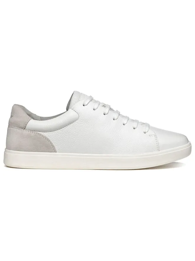 Leder-Sneakers "Avola" in Weiß/ Grau>Geox Sale