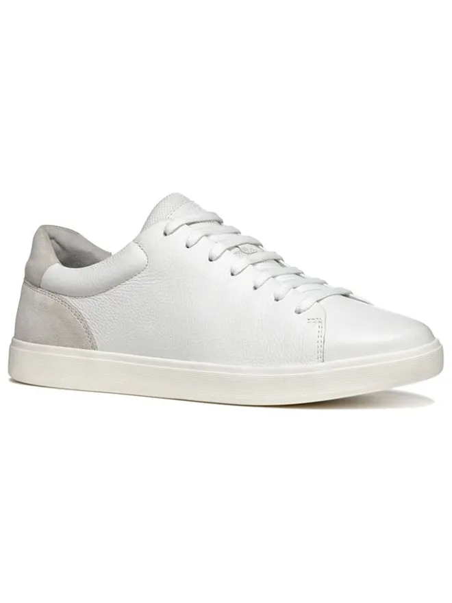 Leder-Sneakers "Avola" in Weiß/ Grau>Geox Sale