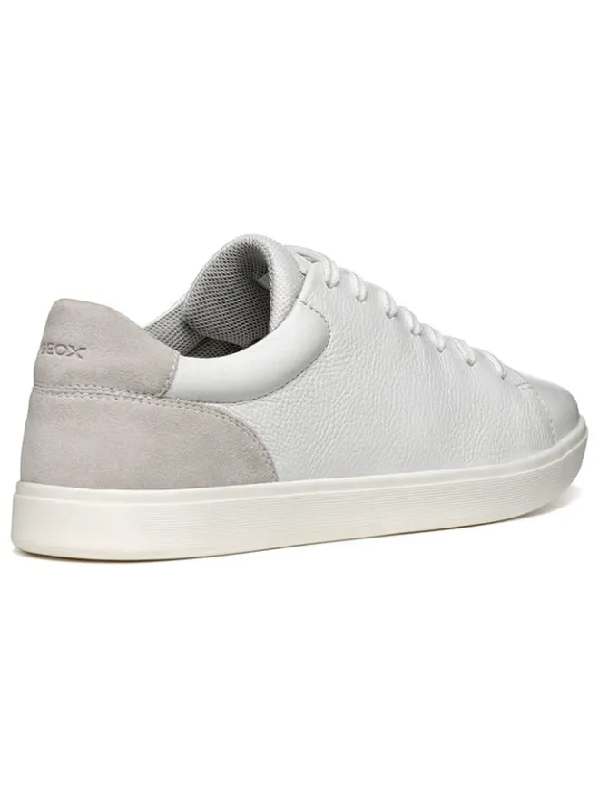 Leder-Sneakers "Avola" in Weiß/ Grau>Geox Sale