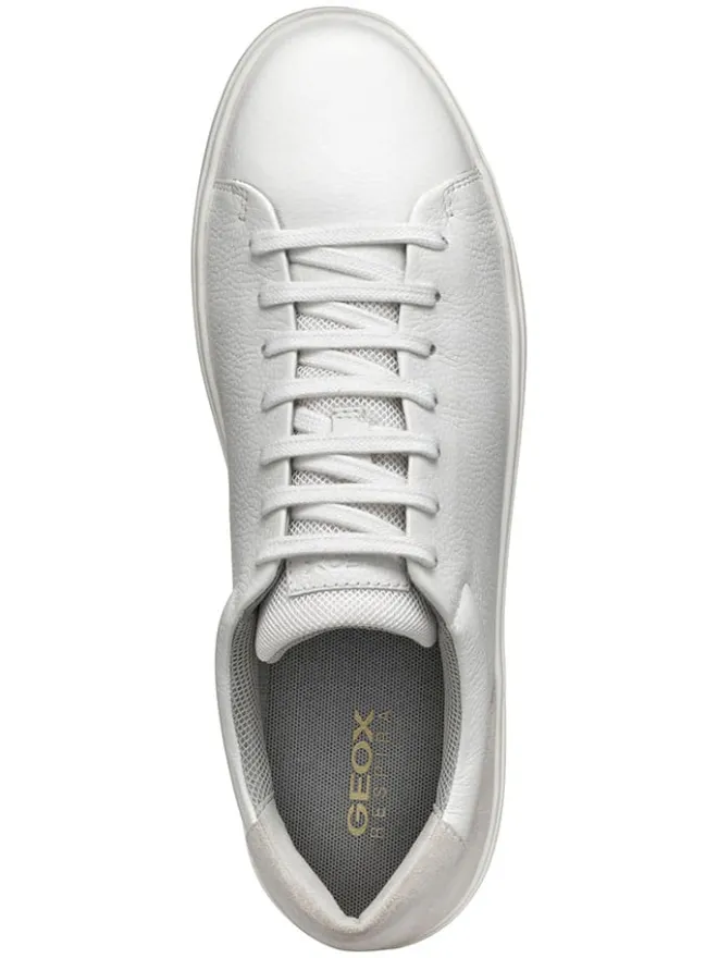 Leder-Sneakers "Avola" in Weiß/ Grau>Geox Sale