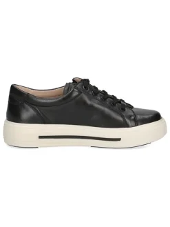 Leder-Sneakers in Schwarz>Caprice Online