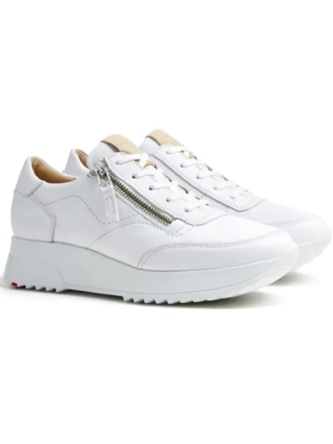 Leder-Sneakers in Weiß>LLOYD
