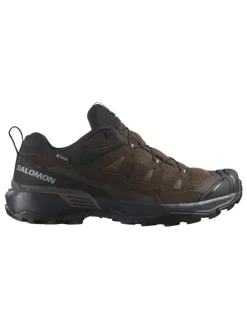 Leder-Wanderschuhe "X Ultra 360 LTR GTX" in Braun>SALOMON Best