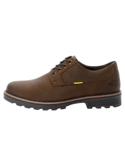 Oxford Schnürschuhe aus echtem Leder in Braun>Camel Active New