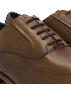DENBROECK Schnürschuhe^Platt St. in Cognac