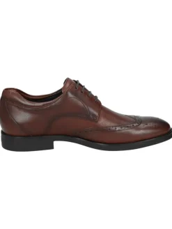Schnürschuh Forkan-XL in braun><noscript><img width=
