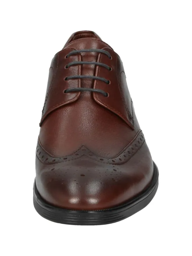 Schnürschuh Forkan-XL in braun>Sioux Discount
