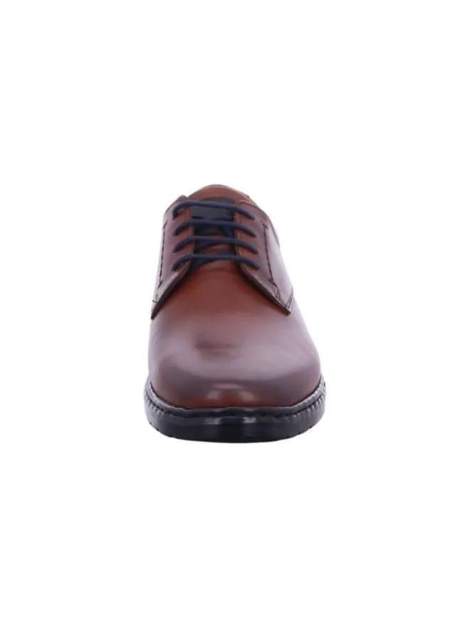 Schnürschuh in braun>Josef Seibel