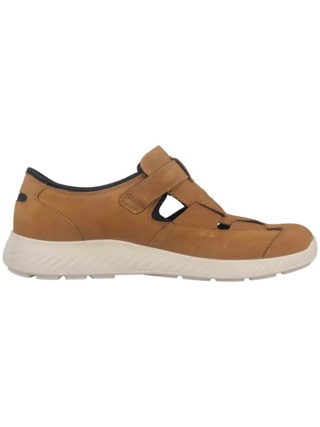 Slipper in Braun>Jomos Hot