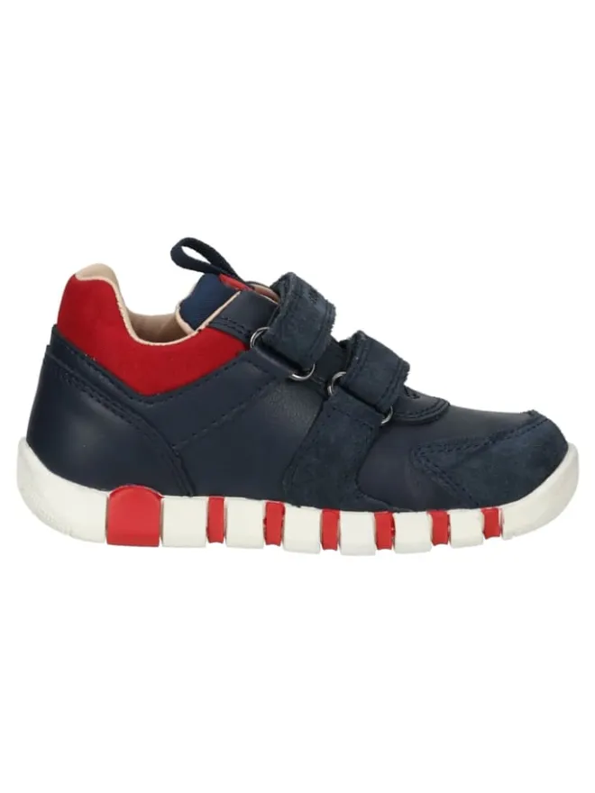 Sneaker in Navy/Rot>Geox Discount