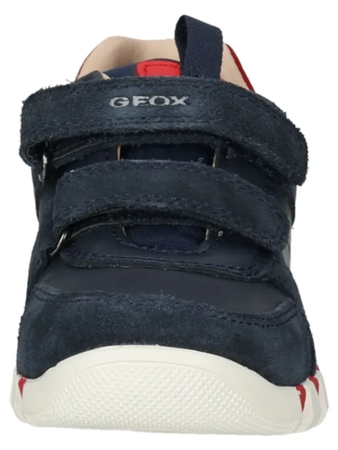 Sneaker in Navy/Rot>Geox Discount