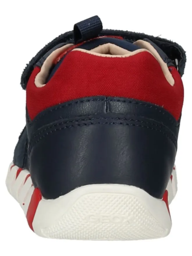 Sneaker in Navy/Rot>Geox Discount