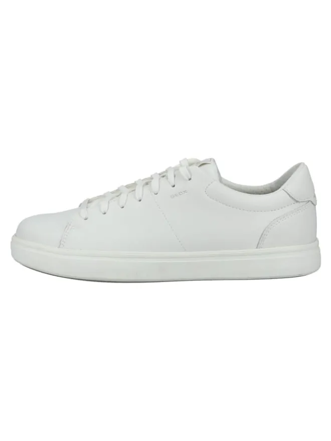 Sneaker in Weiß>Geox Online