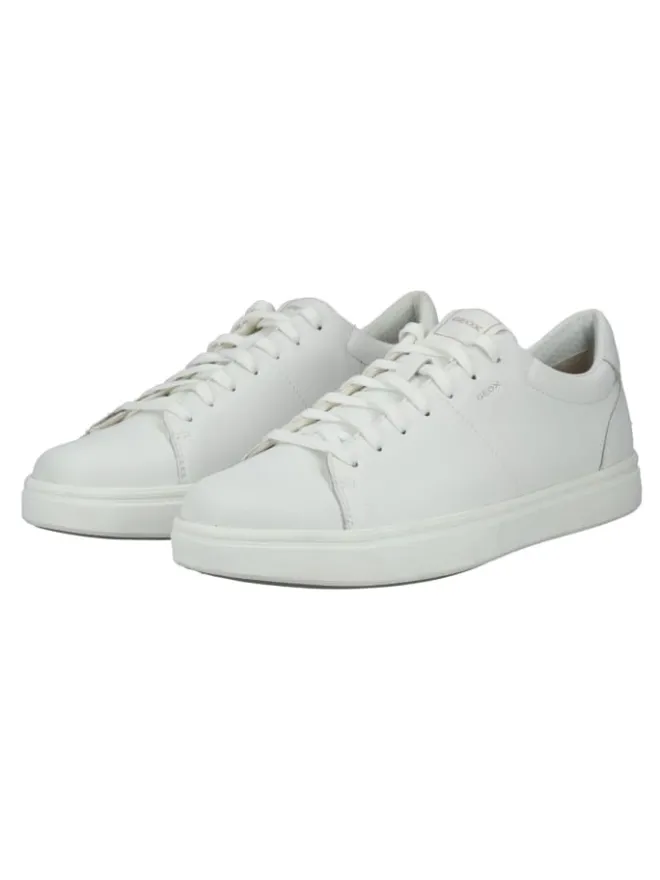 Sneaker in Weiß>Geox Online