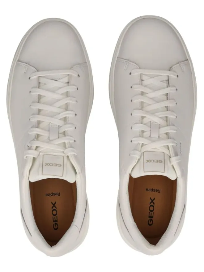 Sneaker in Weiß>Geox Online