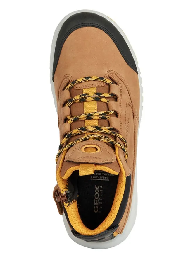 Sneakers "Aeranter" in Hellbraun/ Schwarz>Geox Outlet