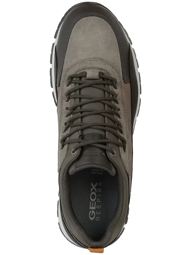 Geox Sportschuhe^Sneakers "Delray" in Khaki