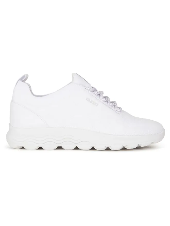 Sneakers in Weiß>Geox New