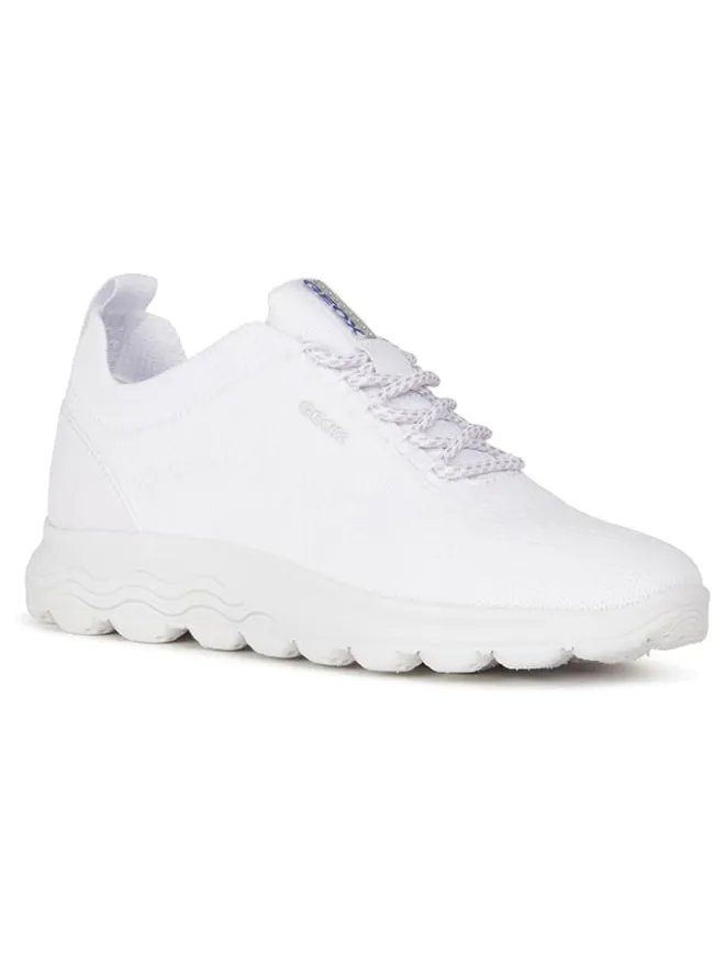 Sneakers in Weiß>Geox New