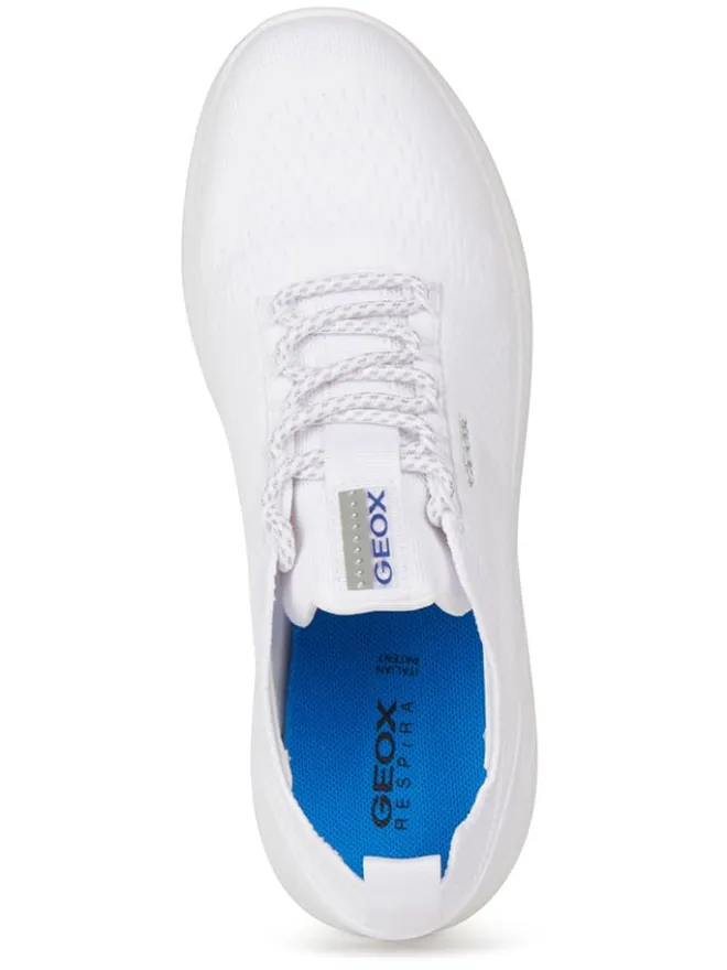 Sneakers in Weiß>Geox New