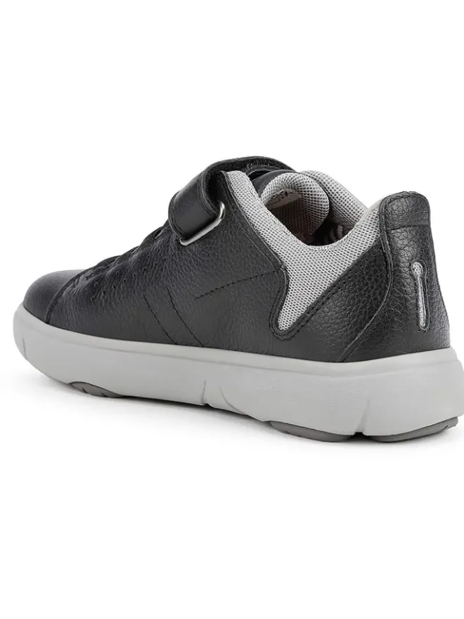 Geox Sneakers·Sneakers Low^Sneakers "Nebcup" in Schwarz