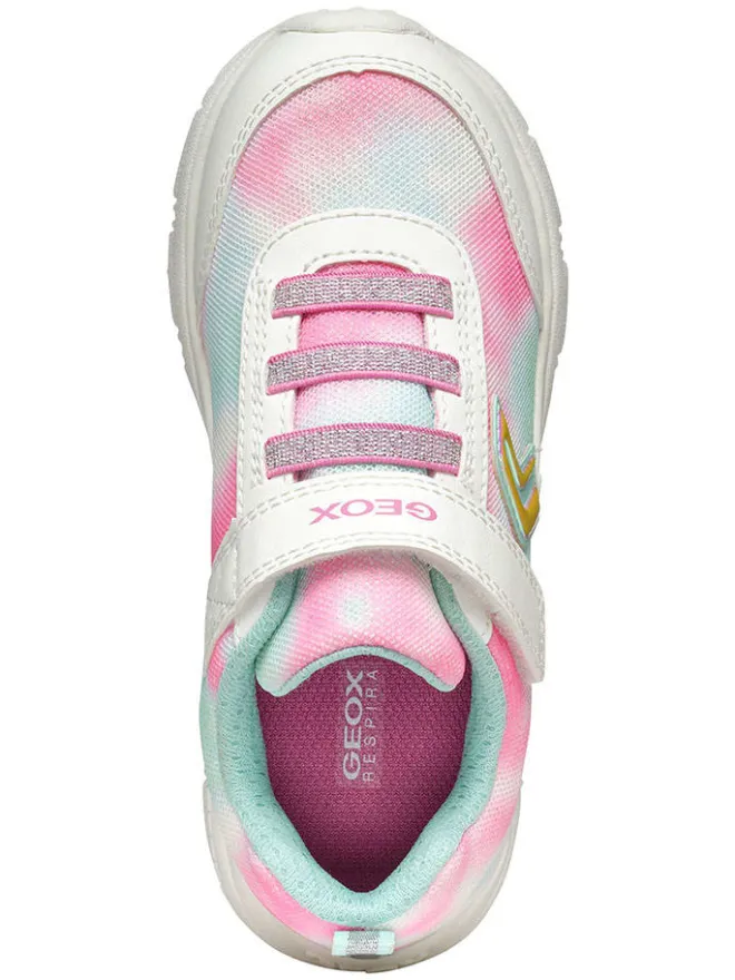 Sneakers "New Torque" in Bunt>Geox New