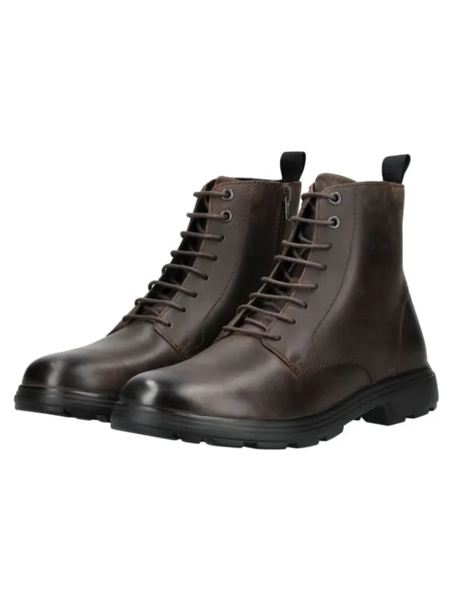 Stiefelette in Coffee>Geox Online