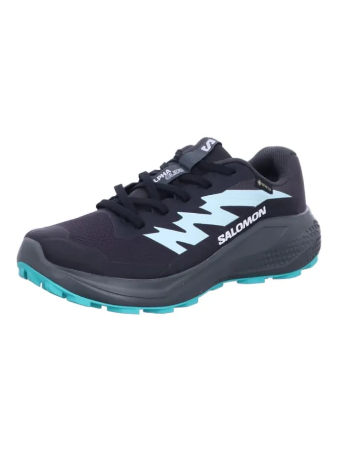SALOMON Outdoorschuhe^Wanderschuhe ALPHAGLIDE GTX W in Grau