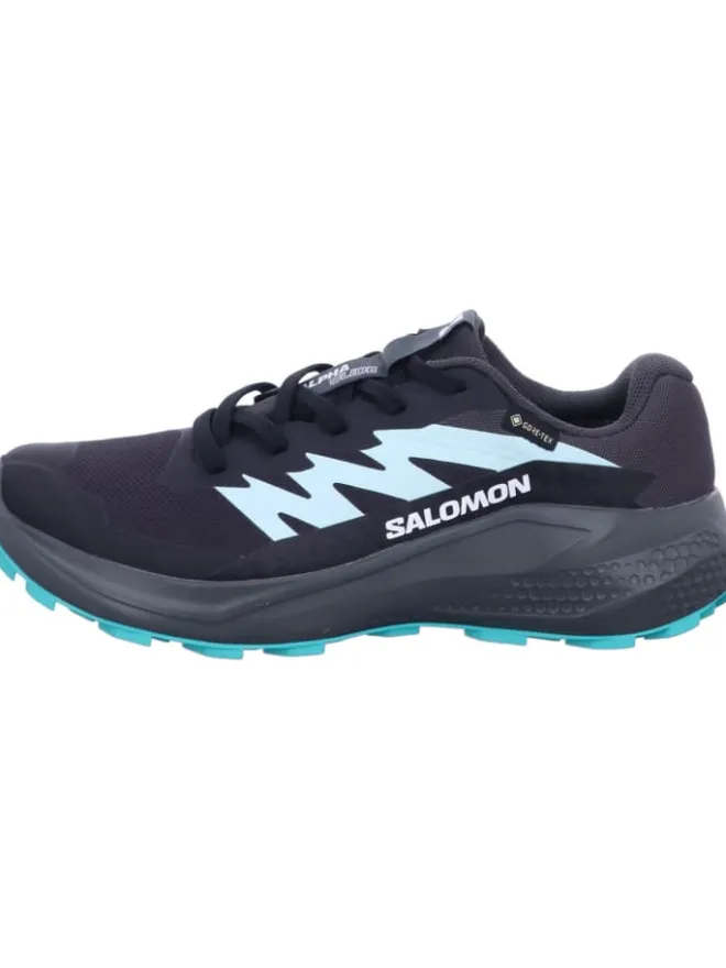 SALOMON Outdoorschuhe^Wanderschuhe ALPHAGLIDE GTX W in Grau